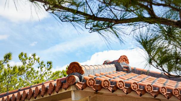 roof tiles